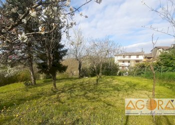 Foto 4 - Casa indipendente Avolasca - foto 4