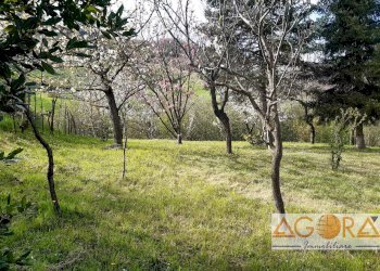 Foto 14 - Casa indipendente Avolasca - foto 14