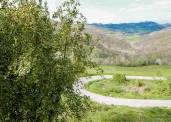 Foto 17 - Casa indipendente Avolasca - foto 17