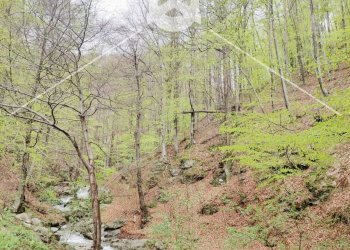 Foto 36 - Quadrilocale Via Valle
 
1, Calizzano - foto 36