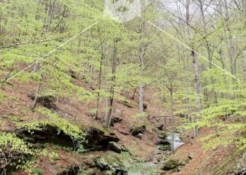 Foto 37 - Quadrilocale Via Valle
 
1, Calizzano - foto 37