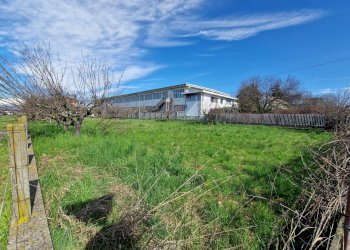 Foto 2 - Terreno edificabile Via Caselle, Leini - foto 2