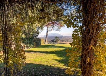 Giardino - Villa Via al Castello
 
1, Marano Ticino - foto 27