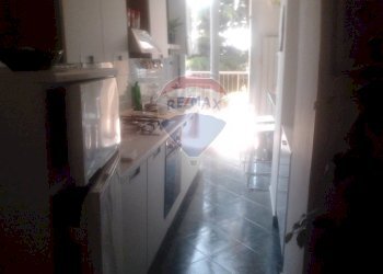 Cucina - Trilocale Dormelletto - foto 13