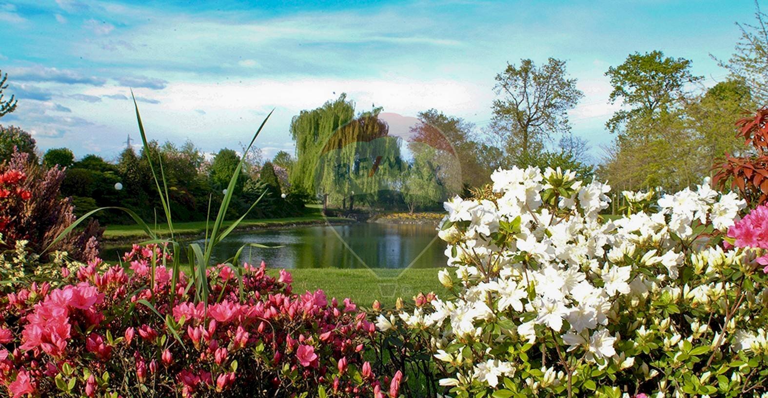 Giardino - Locale Commerciale Via Case Sparse
11, Novara - foto 3