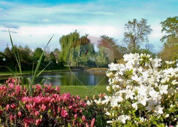 Giardino - Locale Commerciale Via Case Sparse
 
11, Novara - foto 3