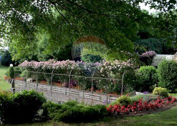 Giardino - Locale Commerciale Via Case Sparse
 
11, Novara - foto 8