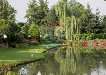 Giardino - Locale Commerciale Via Case Sparse
 
11, Novara - foto 10