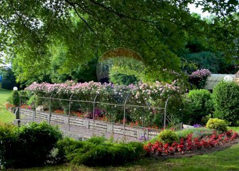 Giardino - Locale Commerciale Via Case Sparse
 
11, Novara - foto 14