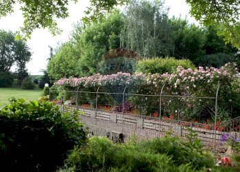 Giardino - Locale Commerciale Via Case Sparse
 
11, Novara - foto 16