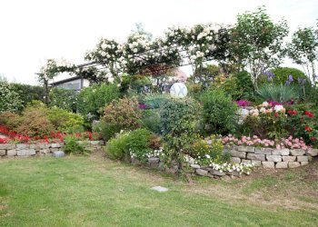 Giardino - Locale Commerciale Via Case Sparse
 
11, Novara - foto 19