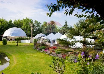 Giardino - Locale Commerciale Via Case Sparse
 
11, Novara - foto 17