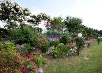 Giardino - Locale Commerciale Via Case Sparse
 
11, Novara - foto 35