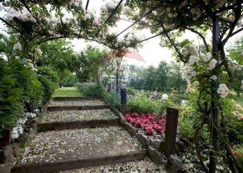 Giardino - Locale Commerciale Via Case Sparse
 
11, Novara - foto 38