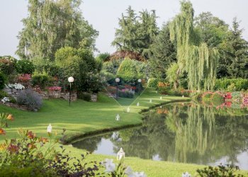 Giardino - Locale Commerciale Via Case Sparse
 
11, Novara - foto 46