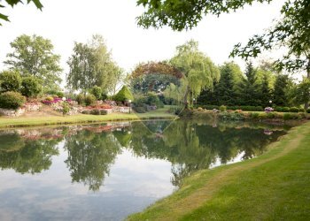 Vista dell\'acqua - Locale Commerciale Via Case Sparse
 
11, Novara - foto 48