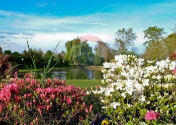 Giardino - Locale Commerciale Via Case Sparse
 
11, Novara - foto 57