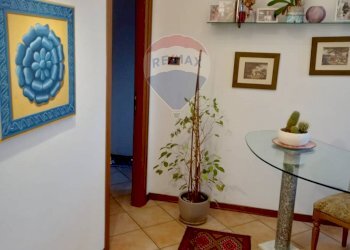 Hall / corridoio - Villa Dormelletto - foto 9