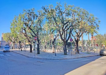 Foto 20 - Independent house Via Camillo Benso Conte di Cavour
 
32, Bari - photo 20