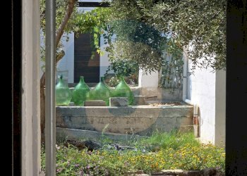 Foto 23 - Agriturismo S.C. 26, Traversa strada comunale Lamapecora, Fasano - foto 23