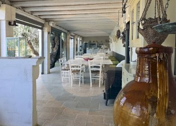 Foto 31 - Agriturismo S.C. 26, Traversa strada comunale Lamapecora, Fasano - foto 31