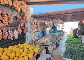 Foto 33 - Agriturismo S.C. 26, Traversa strada comunale Lamapecora, Fasano - foto 33