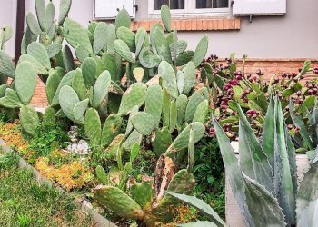 Foto 10 - Villa Via Pazzano, Serramazzoni - foto 10