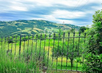 Foto 19 - Villa Via Pazzano, Serramazzoni - foto 19