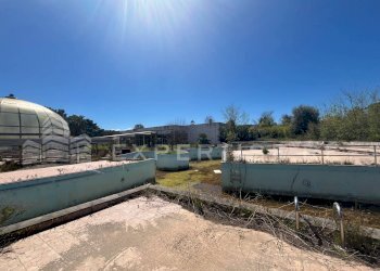 Foto 17 - Discoteca - Disco Pub - Locale Notturno Via Prestipaolo, Furnari - foto 17