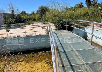 Foto 21 - Discoteca - Disco Pub - Locale Notturno Via Prestipaolo, Furnari - foto 21