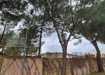 Foto 29 - Discoteca - Disco Pub - Locale Notturno Via Prestipaolo, Furnari - foto 29