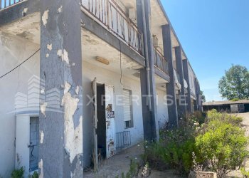 Foto 10 - Capannone contrada targia
 
48, Siracusa - foto 10