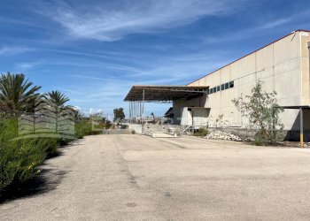 Foto 12 - Capannone Via Cosmo Mollica Alagona
 
70-72, Catania - foto 12