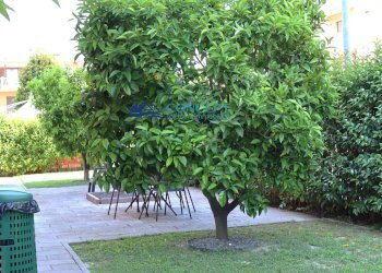 Foto 21 - Villa a Schiera via Liri
 
snc, San Benedetto del Tronto - foto 21