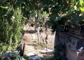 Foto 29 - Casa semi indipendente contrada magnola
 
6, Ripatransone - foto 29