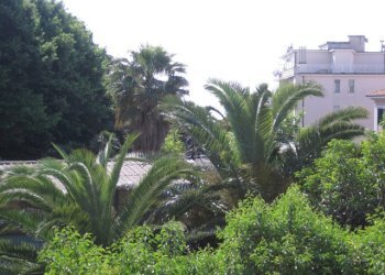 Foto 20 - Appartamento Via Olivette
 
61, Arenzano - foto 20