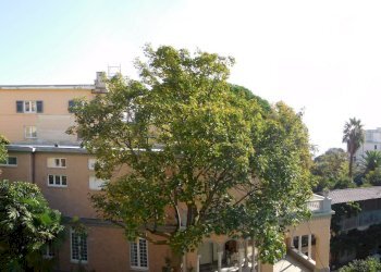 Foto 22 - Appartamento Via Olivette
 
61, Arenzano - foto 22