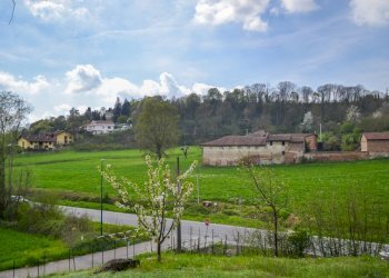 Foto 17 - Villa Strada dei Tigli
 
1, Moncalieri - foto 17