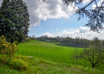 Foto 18 - Villa Strada dei Tigli
 
1, Moncalieri - foto 18