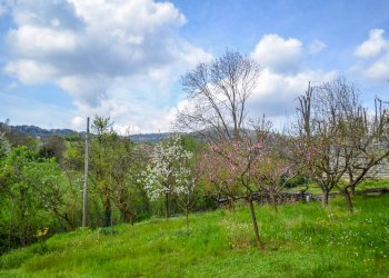 Foto 19 - Villa Strada dei Tigli
 
1, Moncalieri - foto 19