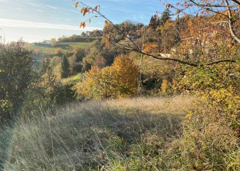 Sito - Terreno edificabile via Morgiolo, Brione - foto 3