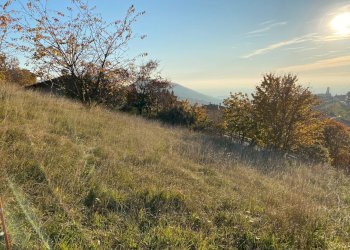 Sito - Terreno edificabile via Morgiolo, Brione - foto 9