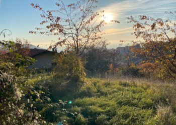 Sito - Terreno edificabile via Morgiolo, Brione - foto 18