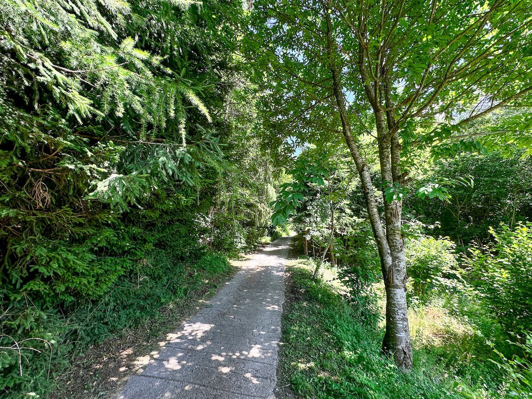 Foto 2 - Terreno agricolo Plagna, Collio - foto 2