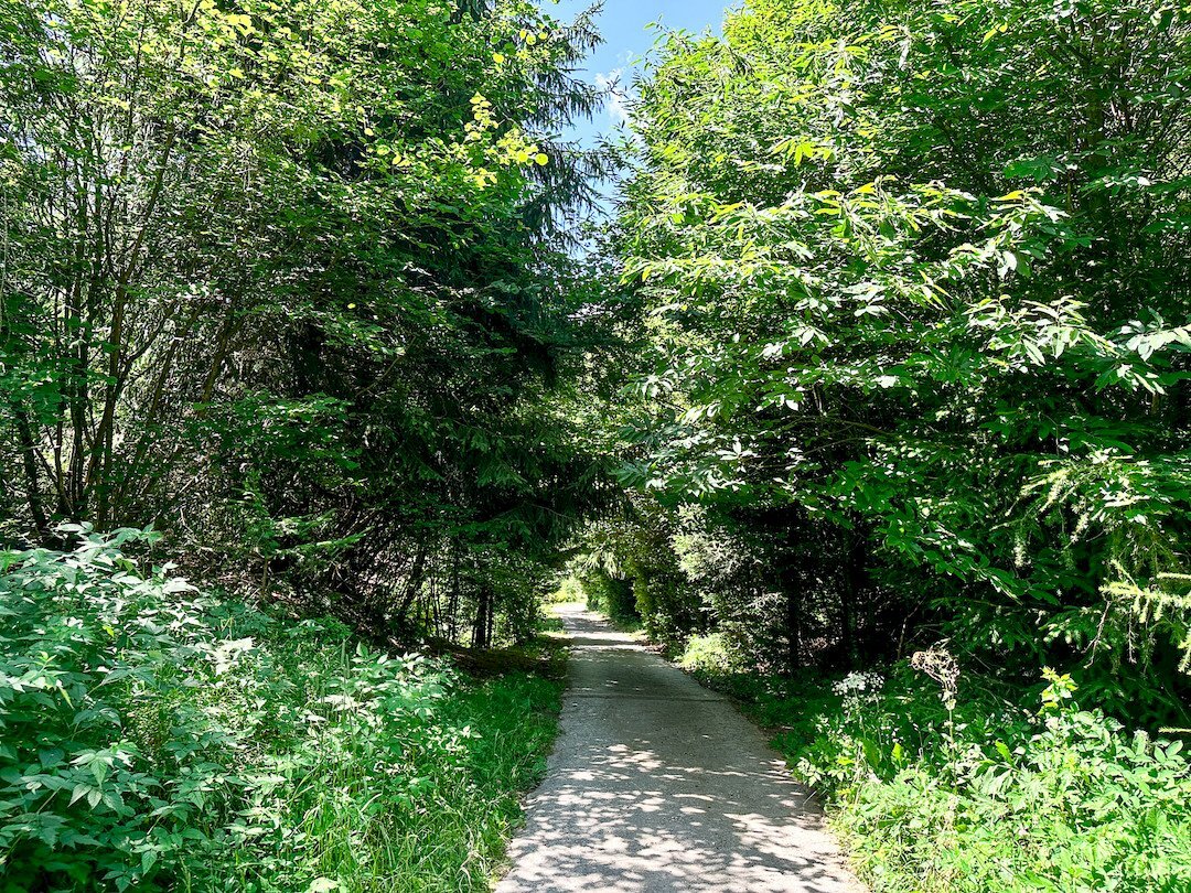 Foto 3 - Terreno agricolo Plagna, Collio - foto 3