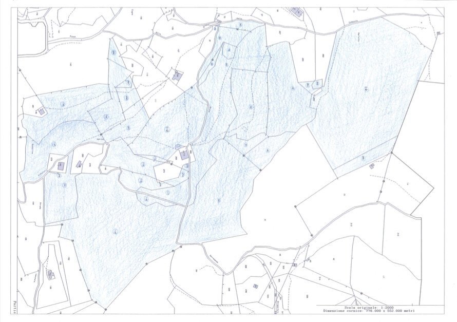 Foto 70 - Terreno agricolo Plagna, Collio - planimetria 1