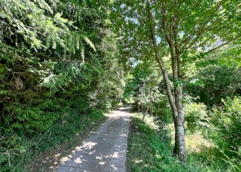 Foto 2 - Terreno agricolo Plagna, Collio - foto 2