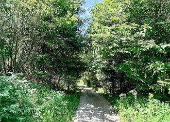 Foto 3 - Terreno agricolo Plagna, Collio - foto 3