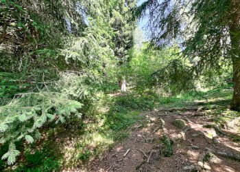 Foto 4 - Terreno agricolo Plagna, Collio - foto 4