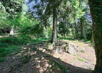 Foto 5 - Terreno agricolo Plagna, Collio - foto 5